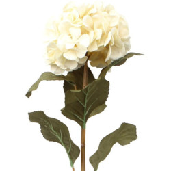 Set 6 flores artificiales crema