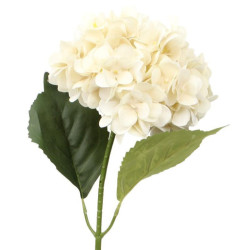 Set 12 flores artificiales crema