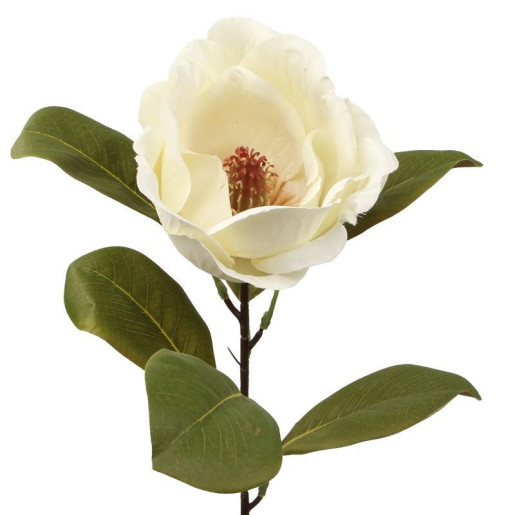 Set 12 flores artificiales crema