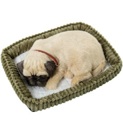 Perro pug o carlino marron claro