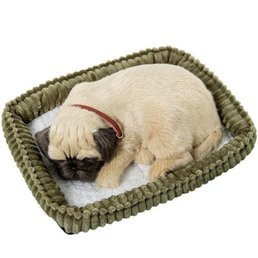 Perro pug o carlino marron claro