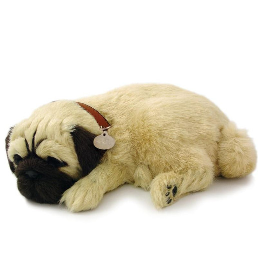 Perro pug o carlino marron claro