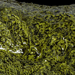 Macetero  verde rugoso