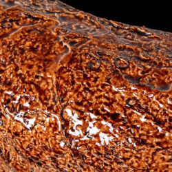 Macetero  marron rugoso