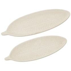 Set 2 centros crudo