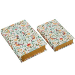 Set 2 cajas libro verde y amarillo
