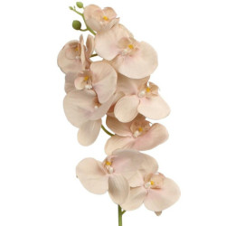 Set 12 ramas natural y rosa