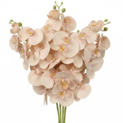 Set 12 ramas natural y rosa