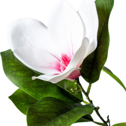 Planta artificial verde y blanco