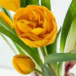 Tulipanes artificiales  amarillo