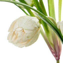 Tulipanes artificiales  blanco