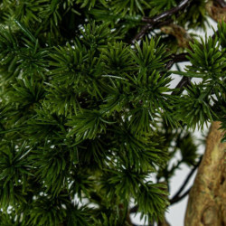 Bonsai artificial verde y marron