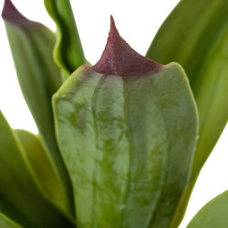 Planta artificial verde