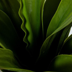 Planta artificial verde