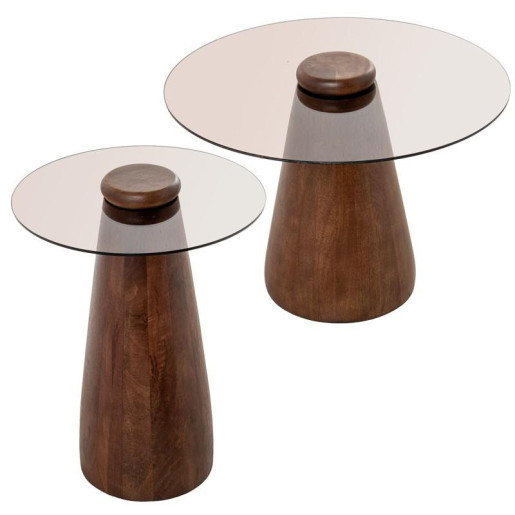 Set 2 mesas auxiliares marron y transparente